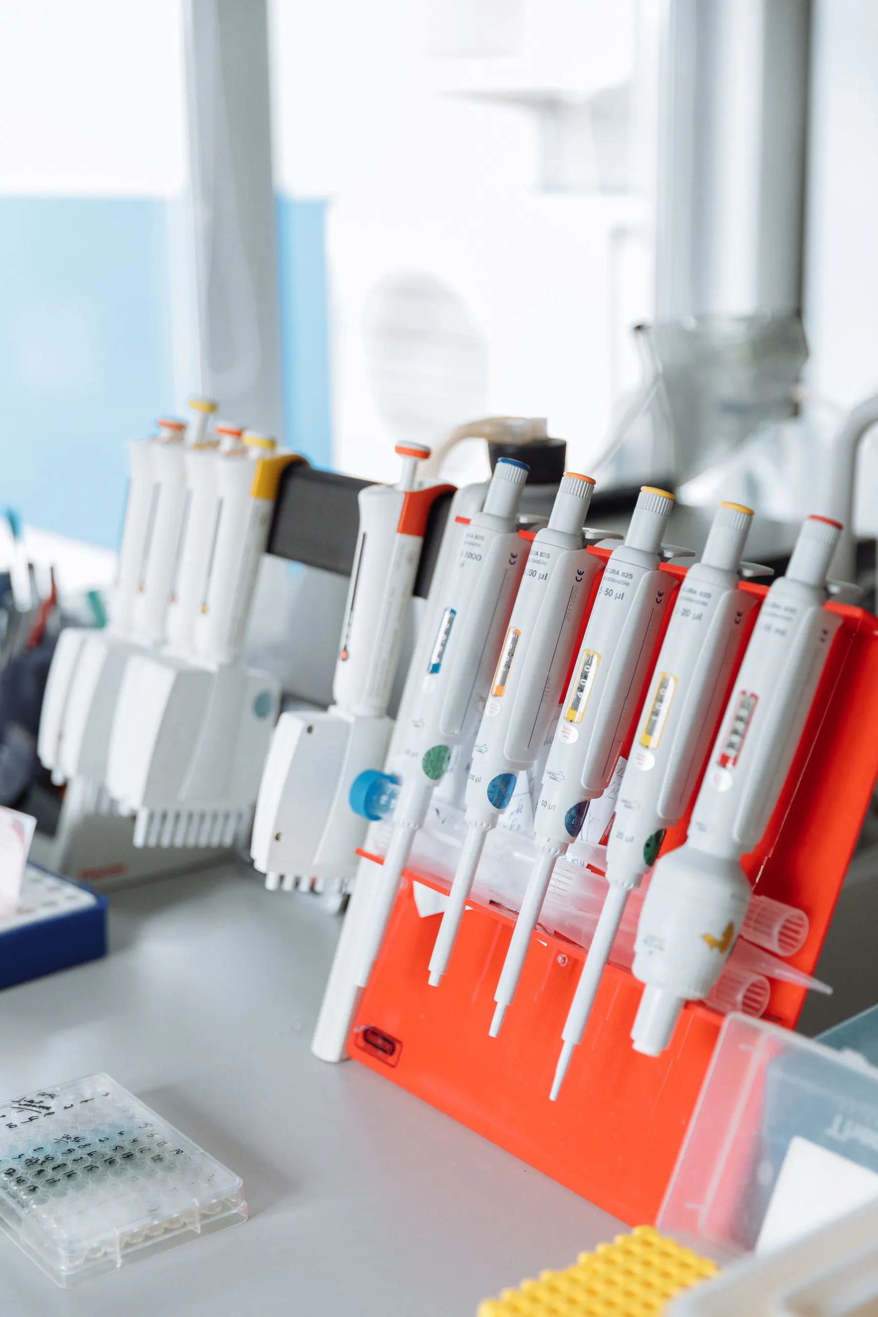 Precision laboratory pipettes organised at a testing bench